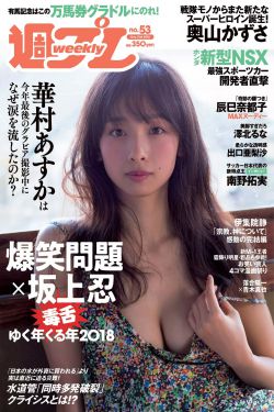 野狗和大美人的故事小说